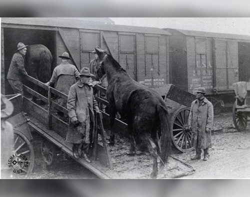 US Army Soldiers loading horses onto the famed ”40&8” box car.  The box car was nicknamed “40&8” since it could reportedly hold 40 Soldiers or 8 horses.