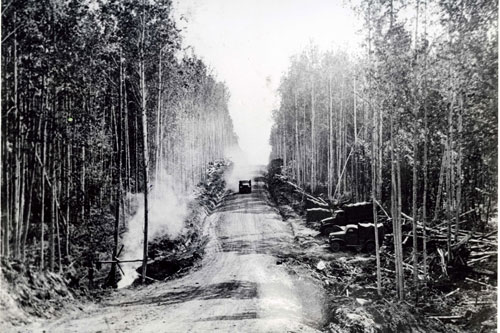U.S. Army trucks along the newly completed section of Alaskan Highway during World War II. Part of the research collection of the U.S. Army Transportation Museum