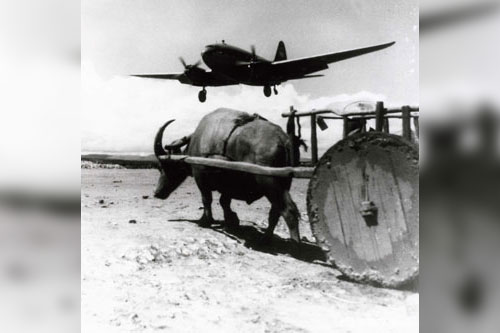 Modern meets ancient – a CH46 prepares to land over a Ox drawn wagon in China during World War II. Part of the research collection of the U.S. Army Transportation Museum.