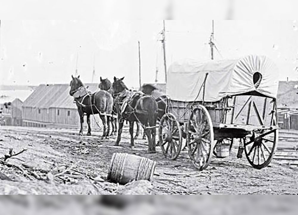Four mule Wagon, at City Point, Virginia in 1864, 4during the Civil War.