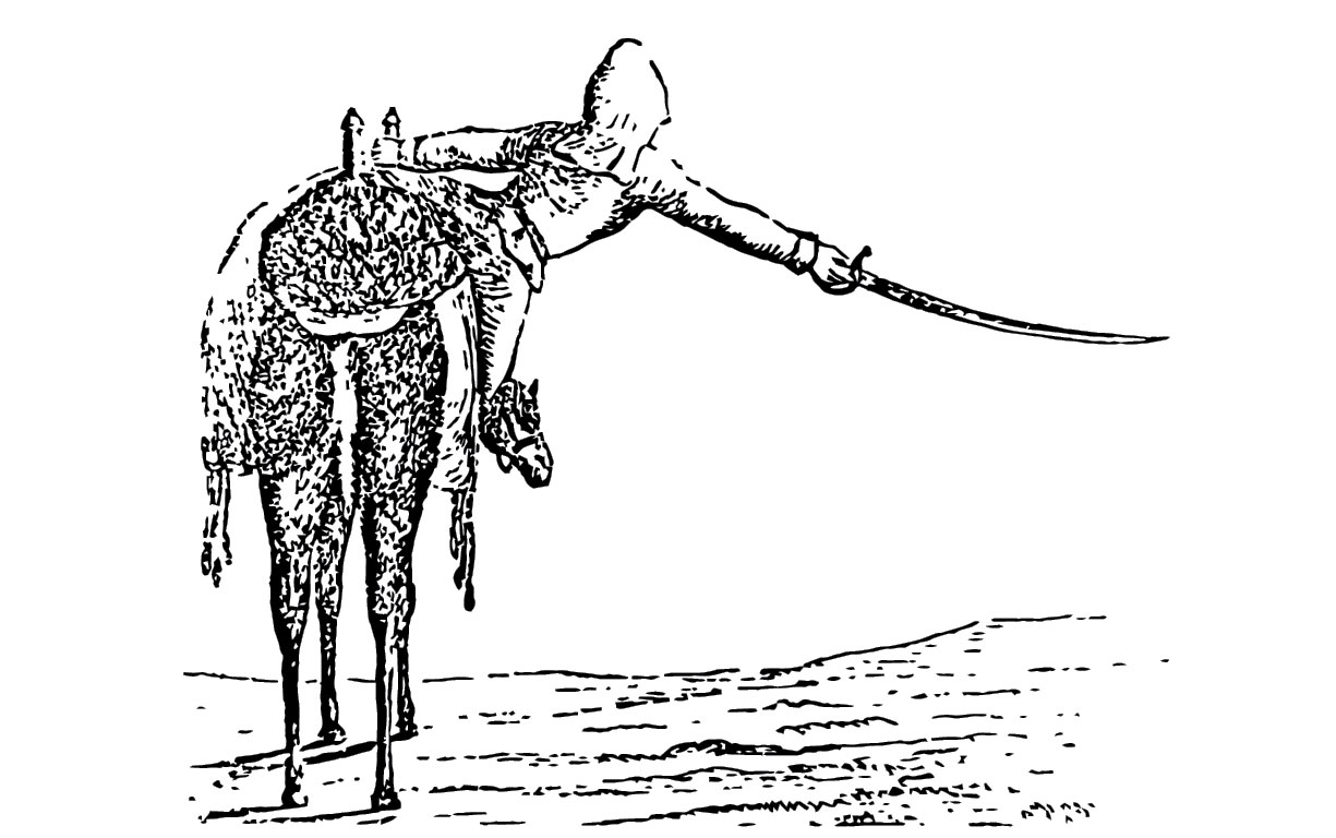 One advantage of the camel over the horse was the ability of the rider to make a more extensive saber cut by holding the frontpiece of the saddle and leaning to the side. (Letter of W. Re Kyan Bey, Secretary to the Viceroy of Egypt to Edwin DeLeon, U.S. Consul General in Egypt on the Treatment and Use of the Dromedary.)