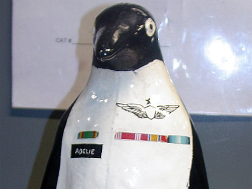 A close up of Adelie the Penguin's head and chest.